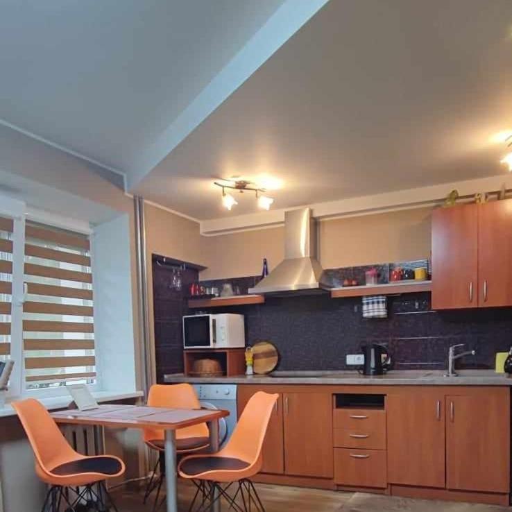 Du Draugai Apartment Друскининкай Екстериор снимка