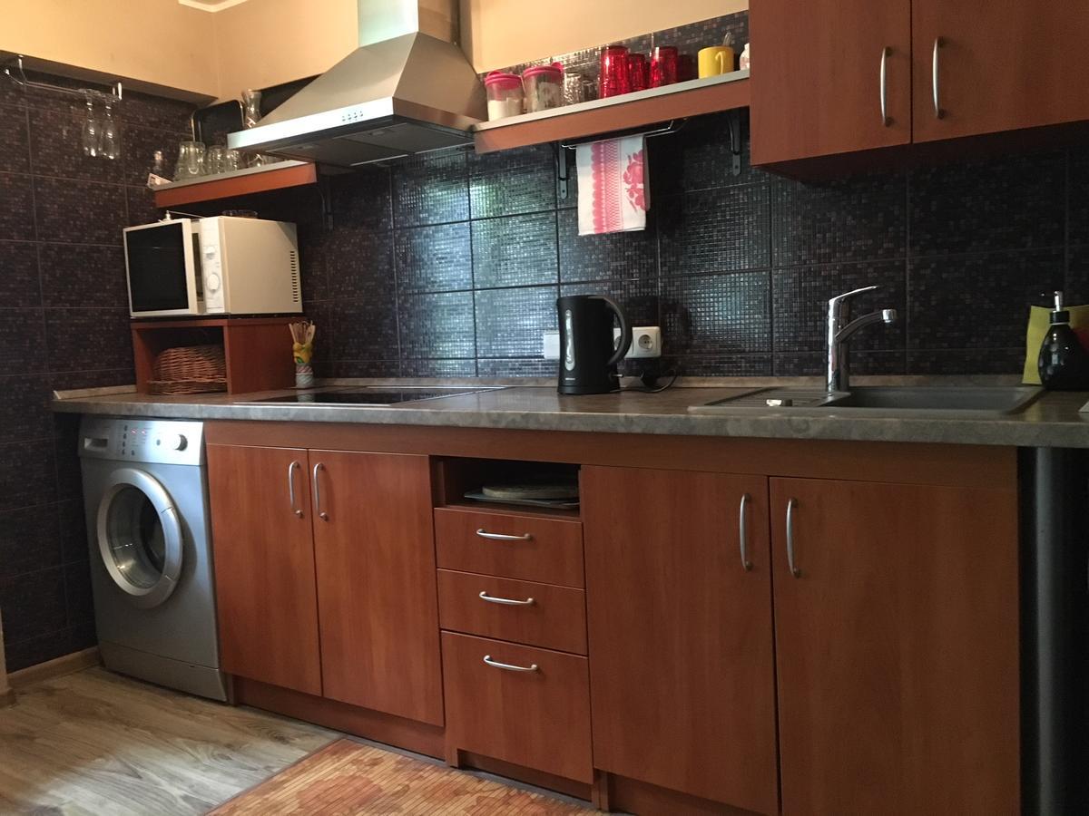 Du Draugai Apartment Друскининкай Екстериор снимка