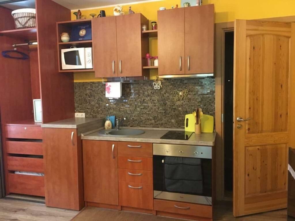 Du Draugai Apartment Друскининкай Екстериор снимка